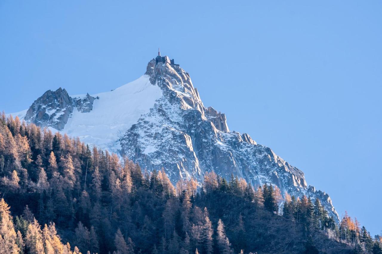 Chamonix Sud Studio With Mont Blanc Views מראה חיצוני תמונה